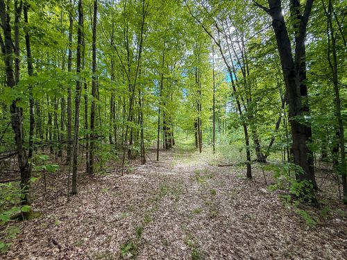 V/L S Deer Lake Road, Reed City, MI, 49677 | Card Image