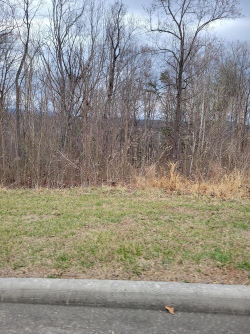 7230 Nandina Dr, Roanoke, VA, 24018 | Card Image