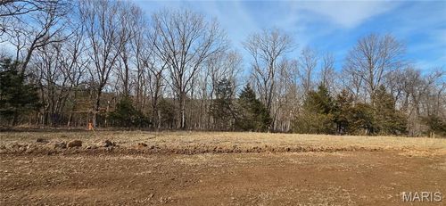 1970 Tanglefoot Farms Rd, Festus, MO, 63028-3450 | Card Image