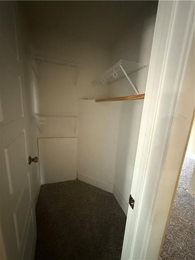 Spacious closet featuring carpet | Image 23