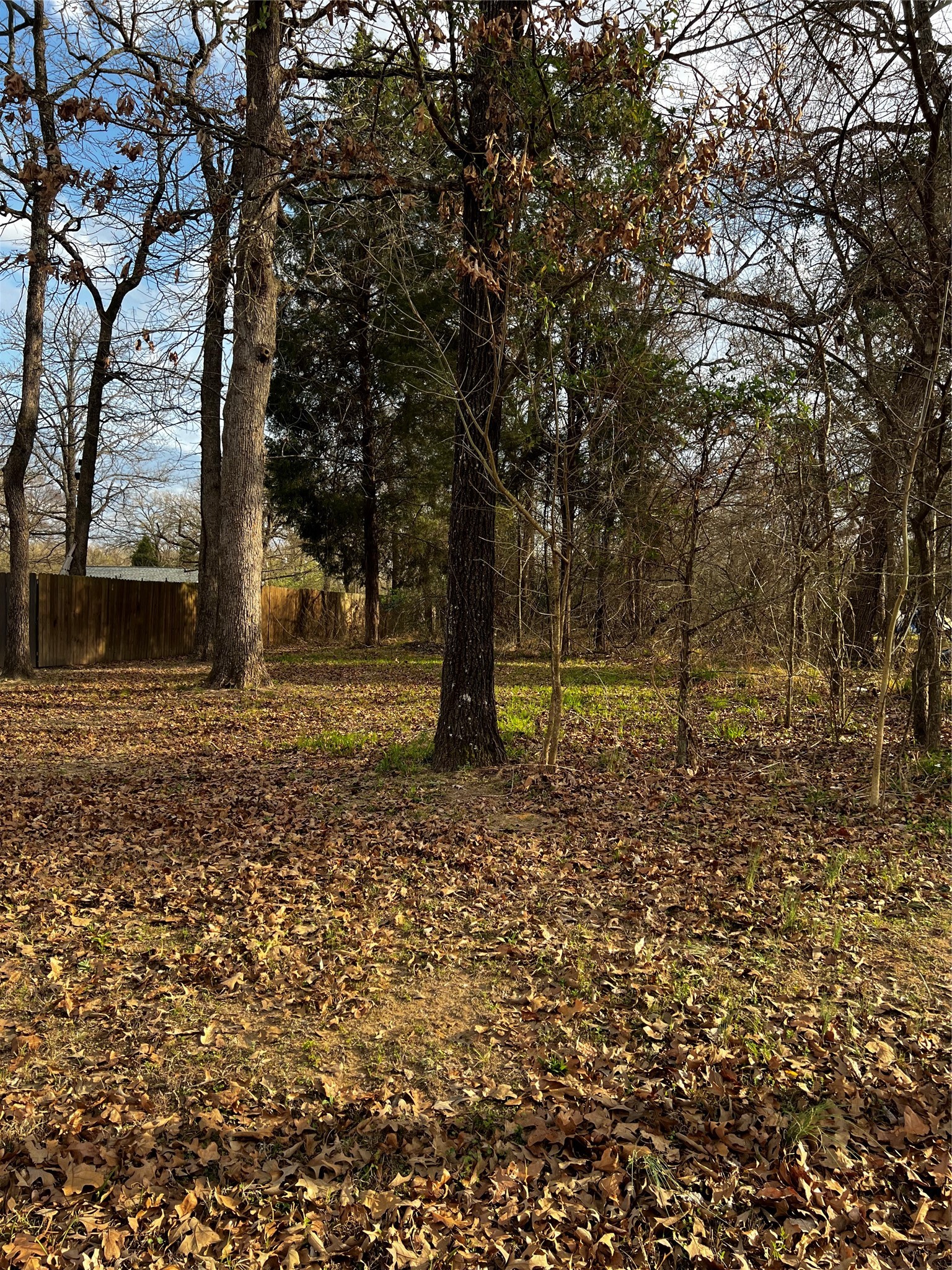 Land in Log Cabin 2