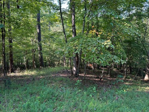 Lot 2 Cedar Bluff Ln, Hardy, VA, 24101 | Card Image