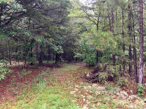 TBD Riverfront Dr, Oden, AR, 71961 | Card Image