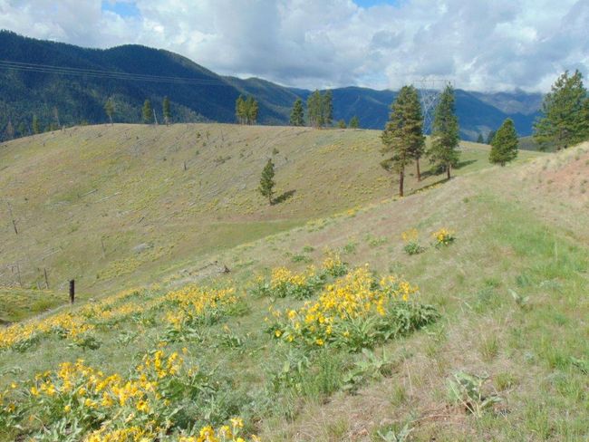 27235 Lazy Springs Rd, Home with 0 bedrooms, 0 bathrooms and null parking in Clinton MT | Image 89