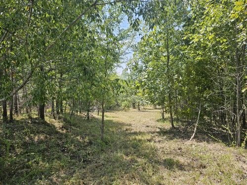 0 Ross Creek Rd, Clifton, TN, 38425 | Card Image