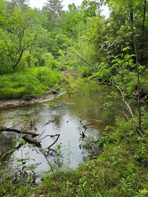 409 Harrison Sluder Road, Ellijay, GA, 30540 | Card Image