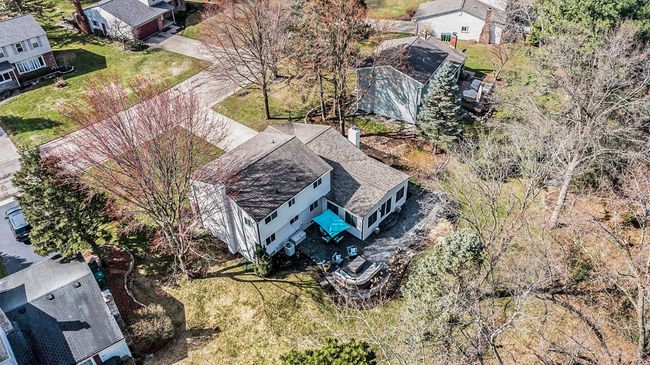 Plenty of space to roam in the backyard. | Image 19