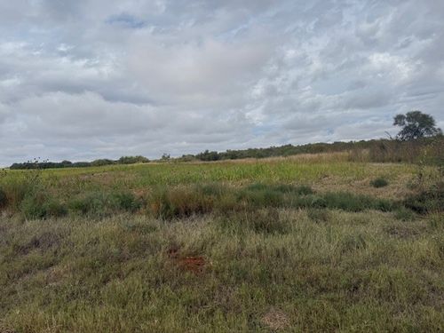 TBD Fm 57, 160 Acres, Roby, TX, 79543 | Card Image