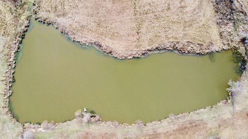 TBD Cr 1460-2, Linden, TX, 75563 | Card Image