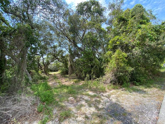 Lot #21 Watson Cir, Home with 0 bedrooms, 0 bathrooms and null parking in CEDAR KEY FL | Image 26