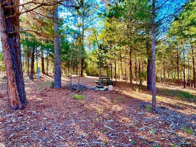 000 Grand View Dr, Home with 0 bedrooms, 0 bathrooms and null parking in Athens TX | Image 9