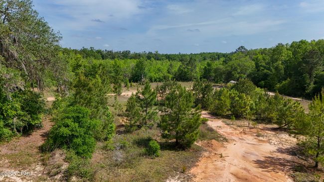 3396 Varsey Ln, House other with 5 bedrooms, 3 bathrooms and null parking in Marianna FL | Image 28