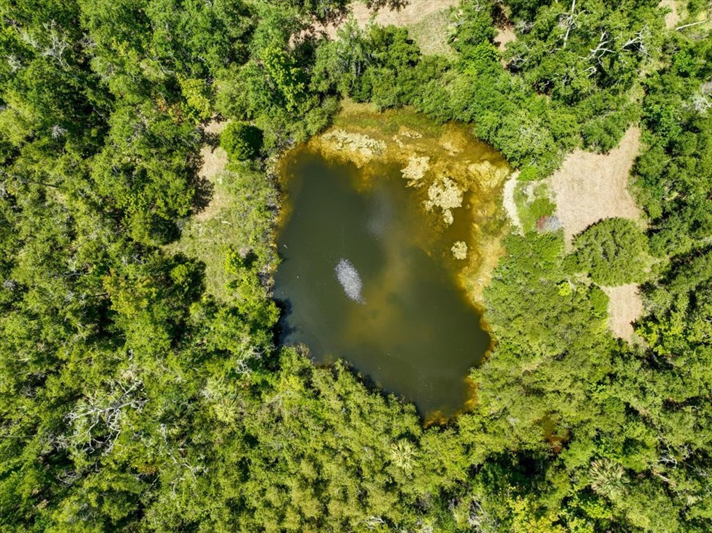 Land in Steinhatchee 5