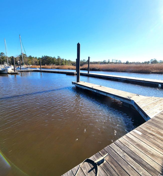 20 Serenity Park Ln, Home with 0 bedrooms, 0 bathrooms and null parking in Georgetown SC | Image 18