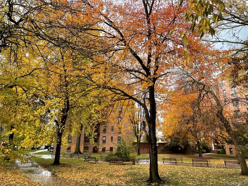 6-150-29 72 Road, New York, NY, 11367 | Card Image