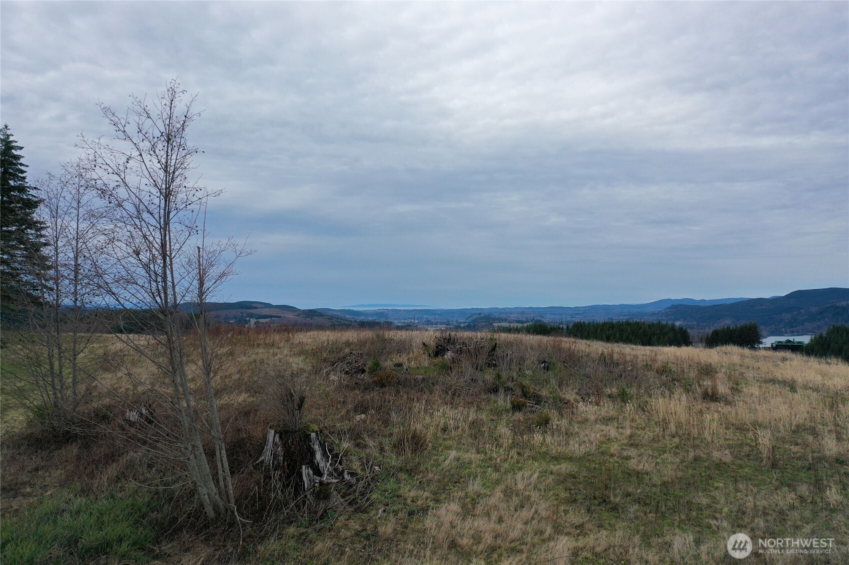 Land in Mossyrock 5