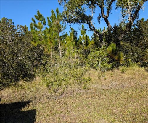 0 Tropicana Dr, Indian Lake Estates, FL, 33855 | Card Image