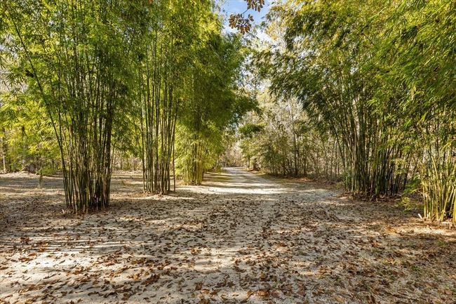 314 Ne 880 Th St, House other with 2 bedrooms, 1 bathrooms and null parking in Old Town FL | Image 39