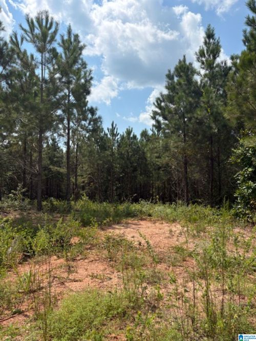 2-2 County Road 919, Clanton, AL, 35046 | Card Image