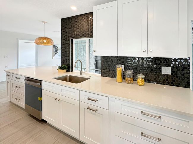 Kitchen – Sink, Dishwasher & Cabinets | Image 12