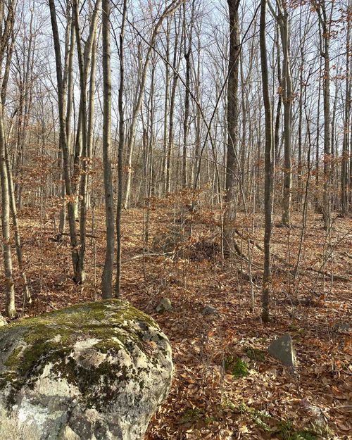 20 Forest Ridge Rd, Middlebury, VT, 05753-8717 | Card Image