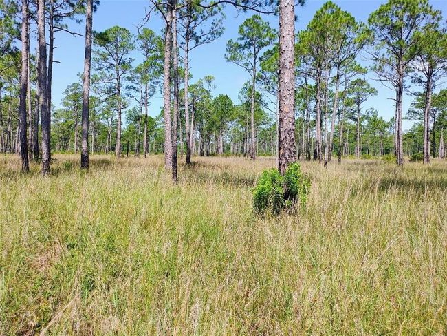 View of landscape | Image 13