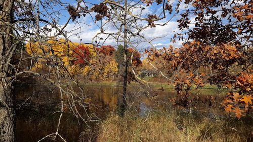 xxx Oriole Ct, Browerville, MN, 56438 | Card Image