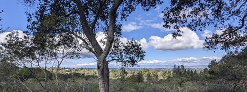 25564 Fernhill Dr, Los Altos Hills, CA, 94024-6302 | Card Image