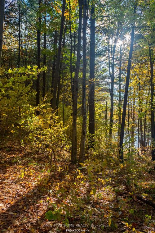 31099 Highway 7 Highway, Frontenac, ON, K0H1Z0 | Card Image