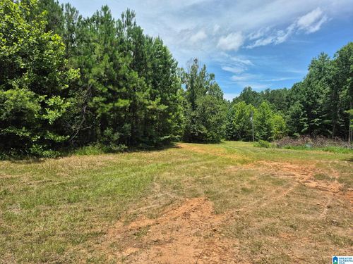 28-0 County Road 928, Delta, AL, 36258 | Card Image