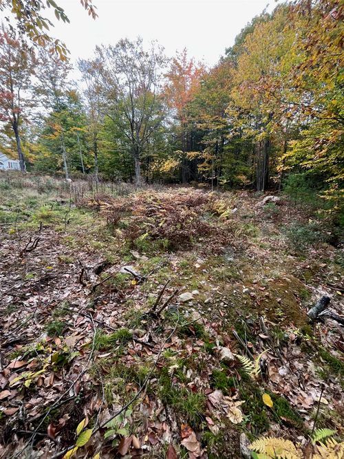 14-Lot 14 Daniel Drive, Wakefield, NH, 03830 | Card Image