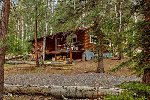 8 County Road 1006, Greer, AZ, 85927 | Card Image