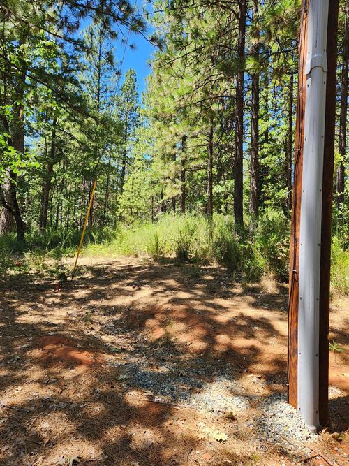 10938 Cole Way, Grass Valley, CA, 95945-4316 | Card Image
