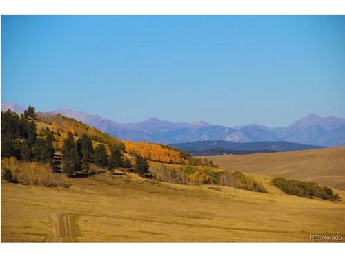1245 Coochee Trl, Guffey, CO, 80820 | Card Image