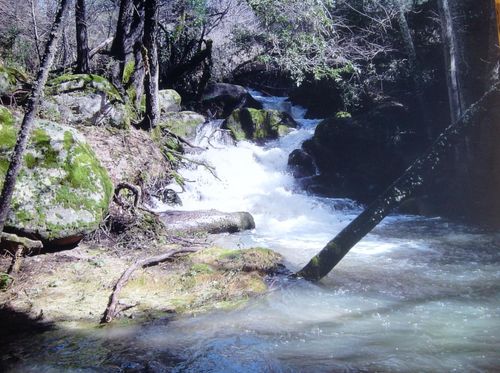 7152 Fire Pine Ln, Somerset, CA, 95684-9327 | Card Image