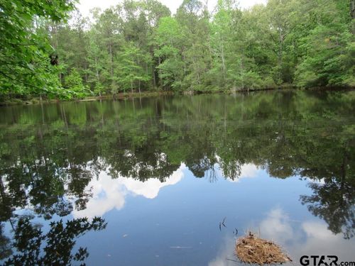 35.941 AC Cr 2130, Crockett, TX, 75835 | Card Image