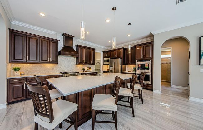 29038 Picana Ln, House other with 4 bedrooms, 4 bathrooms and null parking in WESLEY CHAPEL FL | Image 19