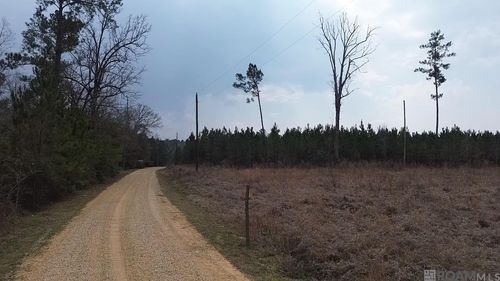 Tract 1A Teal Mcdaniel Rd, Greensburg, LA, 70441 | Card Image