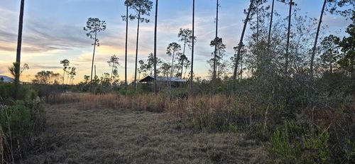 9641 County Road 386 N, Wewahitchka, FL, 32465-6330 | Card Image