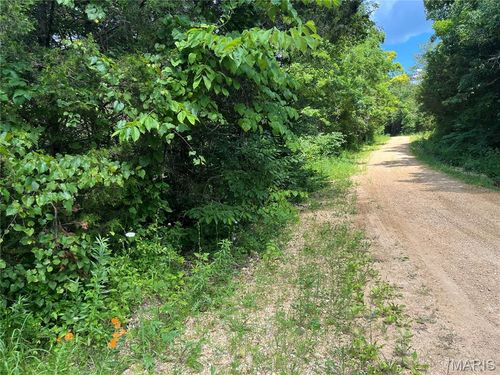 TBD County Road 906, Bunker, MO, 63629 | Card Image