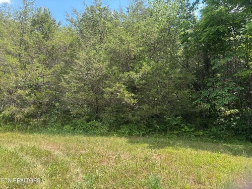 00 Mulberry Gap Rd, Sneedville, TN, 37869 | Card Image