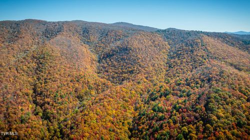 Tbd Of Bishop Road, Laurel Bloomery, TN, 37680 | Card Image