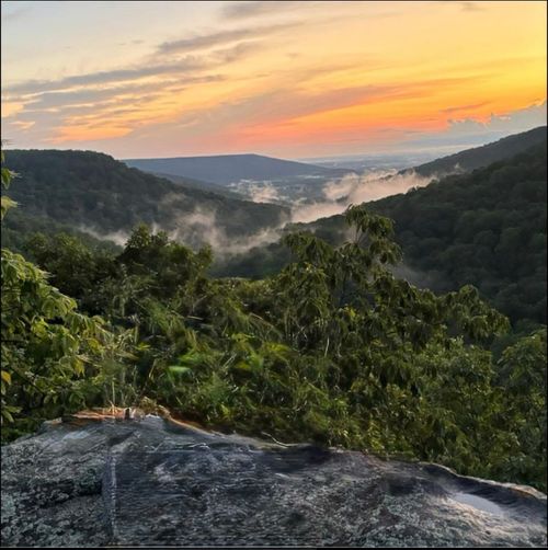 354 Little Trees Ramble, Monteagle, TN, 37356-7648 | Card Image