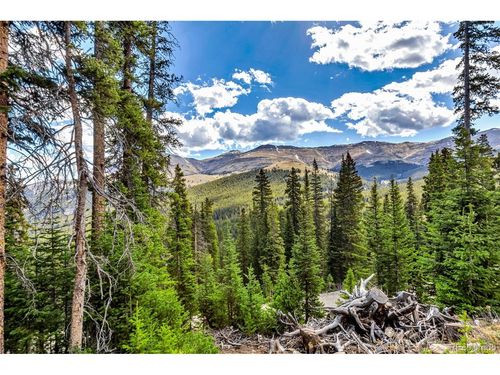 413 Carroll Ln, BRECKENRIDGE, CO, 80424 | Card Image
