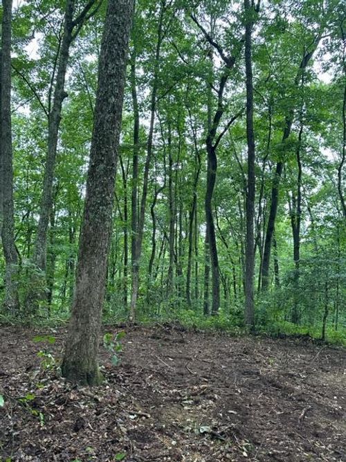 lot 340 Deep Branch Ln, Wilder, TN, 38589 | Card Image