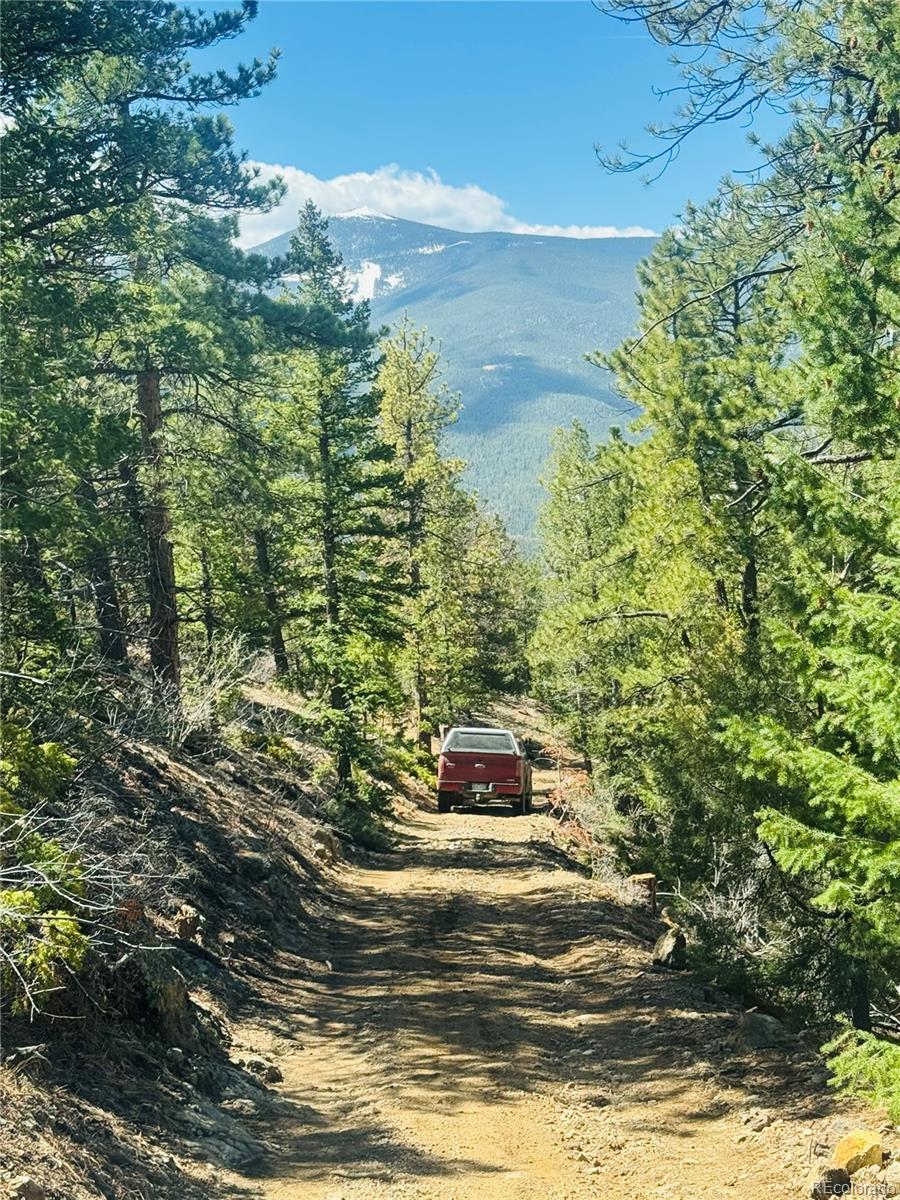 Land in Idaho Springs 3