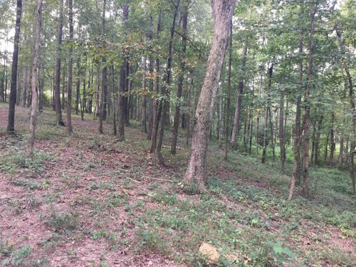 000 County Road 1693, Holly Pond, AL, 35083 | Card Image