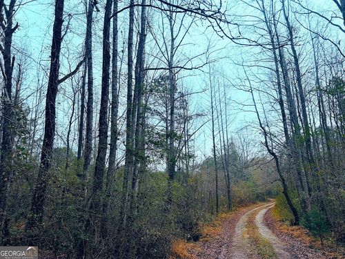 lot-3-0 Hopeful Rd, Munford, AL, 36268 | Card Image