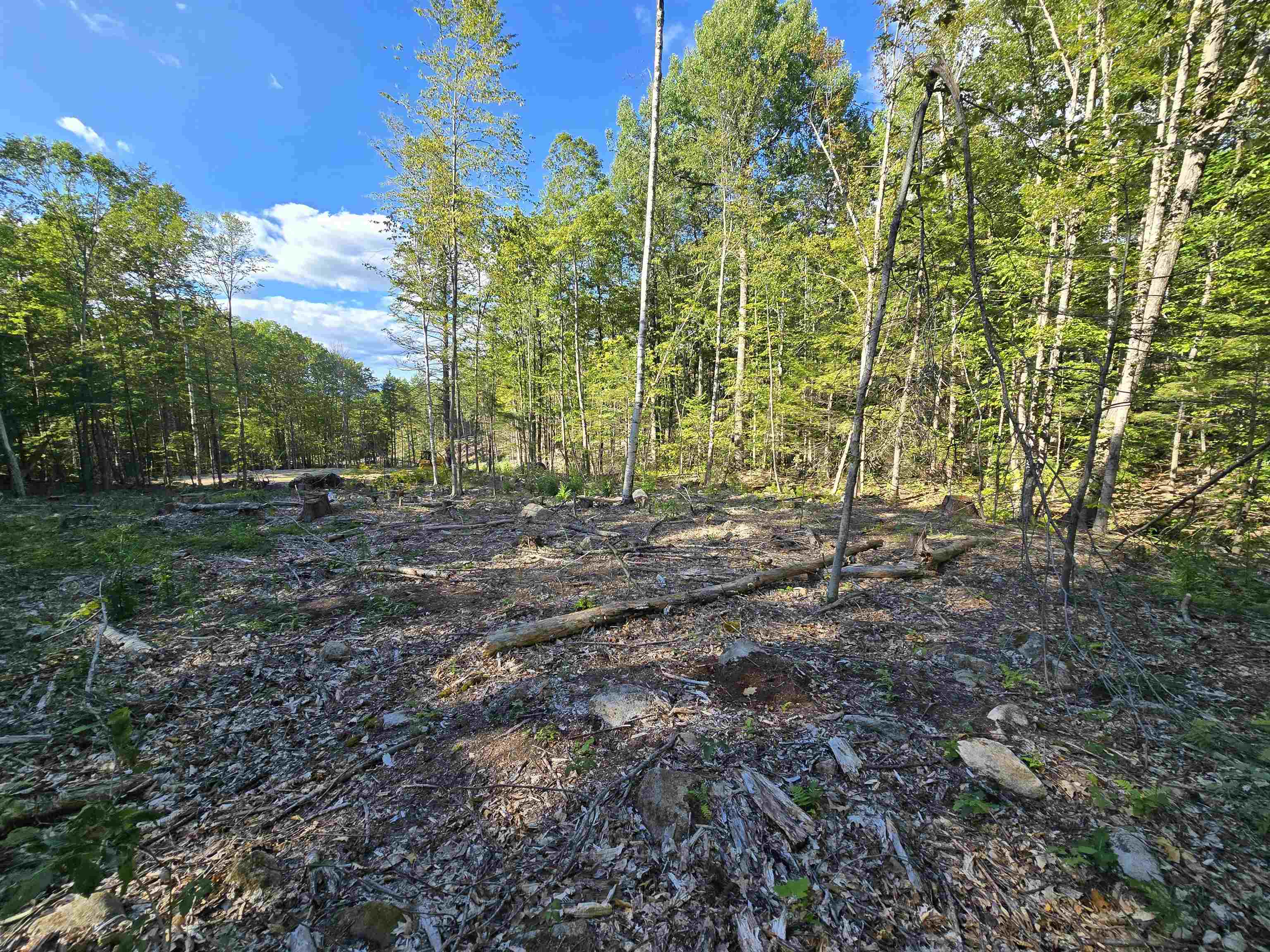 Land in New Durham 3