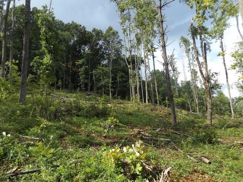 TBD Danville Pike, Laurel Fork, VA, 24352 | Card Image